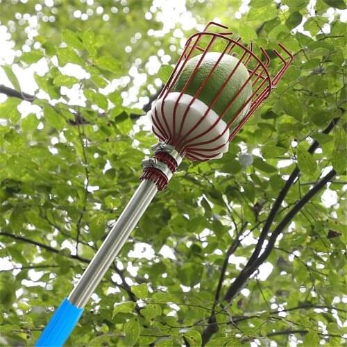 Fruit Picker Basket with Detachable Stainless Steel Pole Professional Metal Fruit Picking Tool Outdoor Orchard Fruit Catcher wit