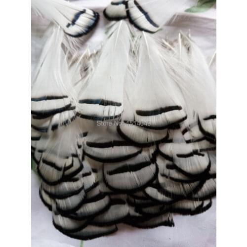 Wholesale Scarce 20pcs high quality natural cover chicken feather 4-8cm / 2-3.5inch variety of decorative White film