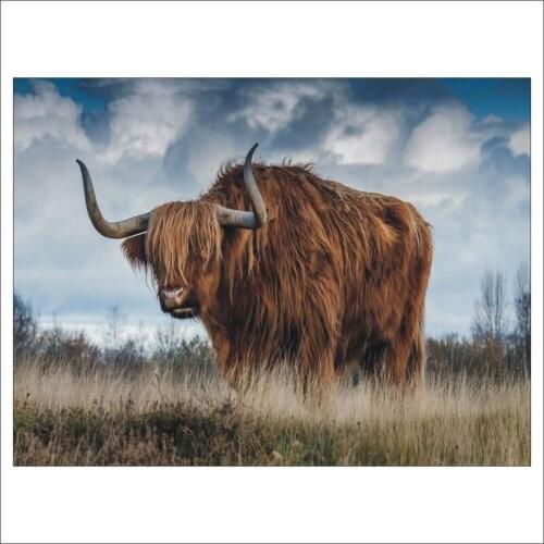 5D DIY full diamond square diamond painting embroidery set bull landscape home decoration mosaic painting mural gift T267