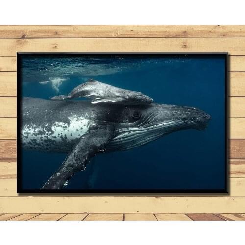 Humpback Whale Ferocious Giant Marine Animal (9) Wall Posters Prints Silk Art Painting For Home Wall Bedroom Decor