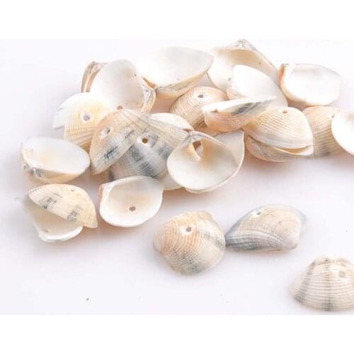 One Hole Spiral Sea Shell Loose Beads for Jewelry Making Home Craft Decoration Accessories 50pcs 20x26mm TRS0135