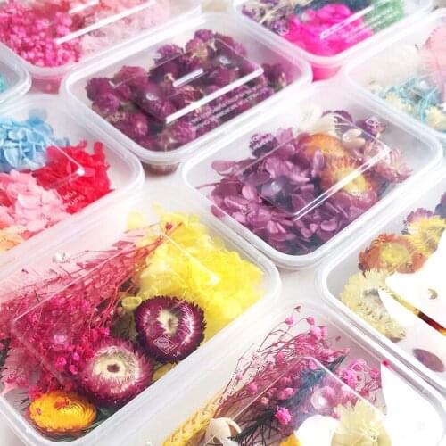 1 Box Dried Flower Material Real Dry Plants For Aromatherapy Candle Epoxy Pendant Necklace Jewelry Making Craft Diy Accessories