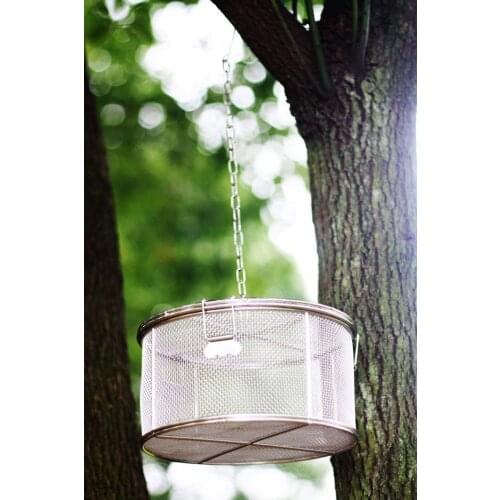 Silkworm Insect Reptile Chameleon Breeder Outdoor Children Kids Toy Unisex Metal Exploring Ability Developing 2021