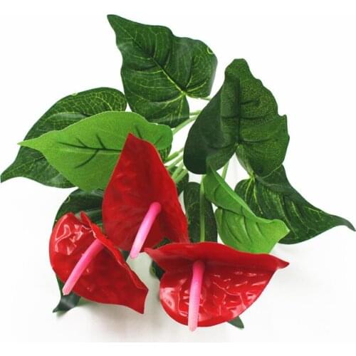 Anthurium Bonsai Indoor Plant Bonsai Flower Bonsai DIY Balcony Flower leaf plant For The Garden Home