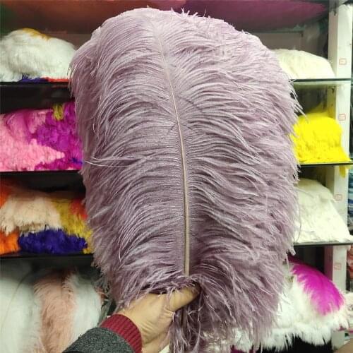 Hot Sales 100pcs Gorgeous Taro Milk 22-24inches/55-60cm DIY jewelry Christmas Halloween Decoration Natural ostrich feathers