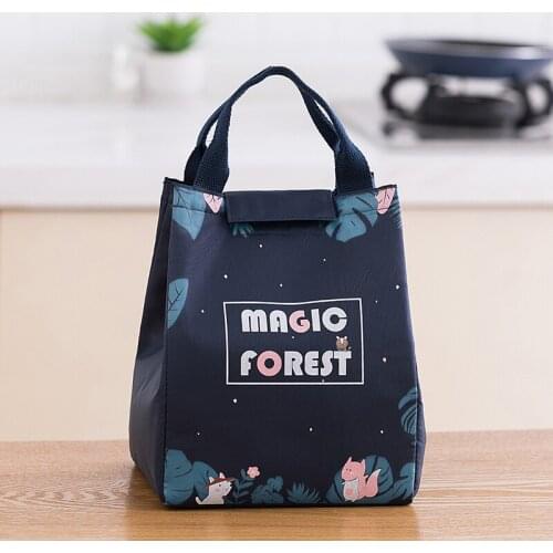 Outdoor Picnic Bags Cute Cartoon Lightweight Insulated Lunch Thermal Food Bag Zipper Lunch Cooler Tote Bag for Camping Picnic