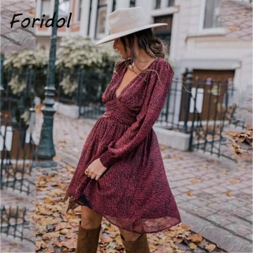 Foridol dot print lantern sleeve vintage dress women long sleeve chiffon spring dress casual v neck drapped short brown dress