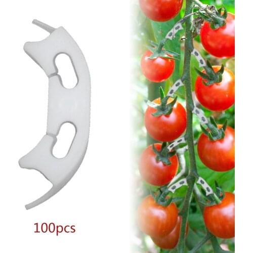 100x Vegetable Tomato Fixing Clips Avoid Bending Bracket Clamp for