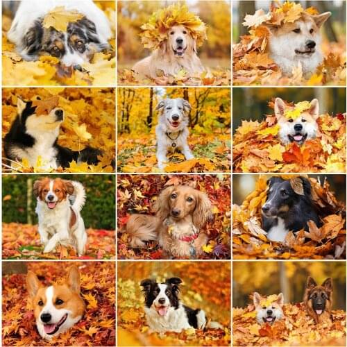 MomoArt Diamond Embroidery Dog Full Square Round Diamond Mosaic Autumn Picture Rhinestones Art Painting Animal Crafts Handicraft