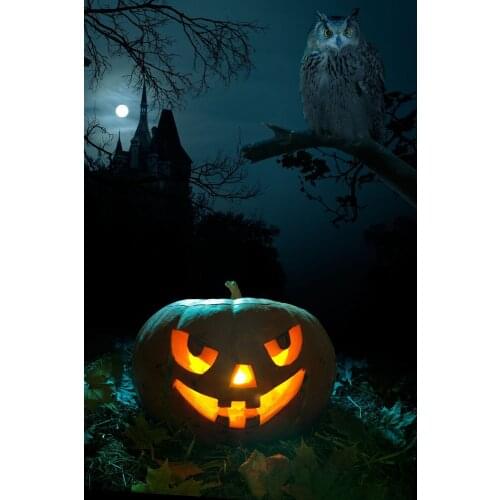 VinylBDS Halloween Photography Backdrop Pumpkin Castle Halloween Background Night Washable Backdrops For Photography WSJ-003