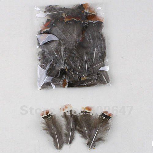 New! 200Pcs/Lot !4-6CM Red-tipped Lady Amherst Pheasant Body Plumage Feathers,Loose Pheasant Feathers,plume decoration