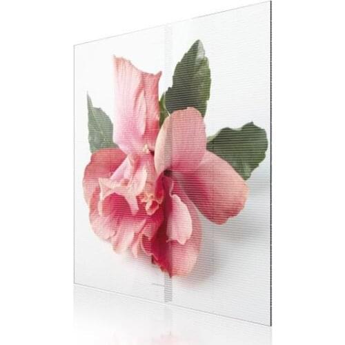 Indoor P3.91 Advertising Transparent Glass Window LED Screen Display for Shopping Mall