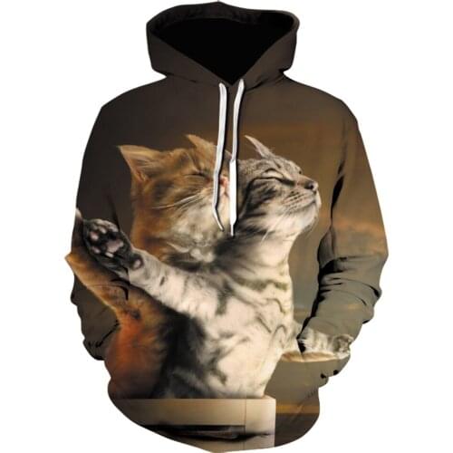Cat graphic hoodie Funny Autumn/Winter Men Sweatshirts 3D Animal Printed hoodies Homme essentials Long Sleeve Fashion tracksuit