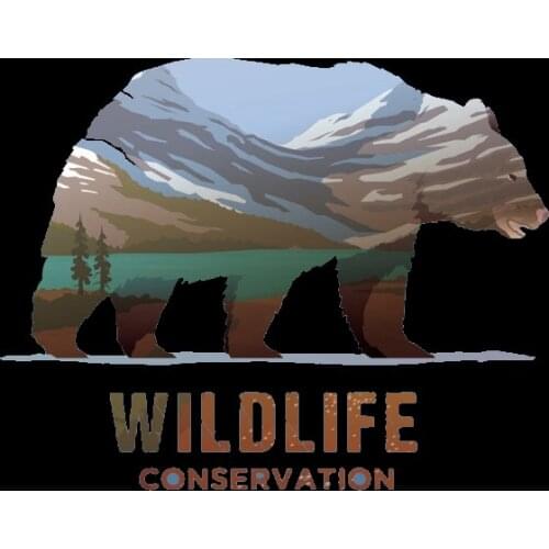 1PCS Protecting wildlife Animal Bear Diy Iron on T-shirt Transfers For Clothing Heat Transfer Accessories Patch Thermal Stickers