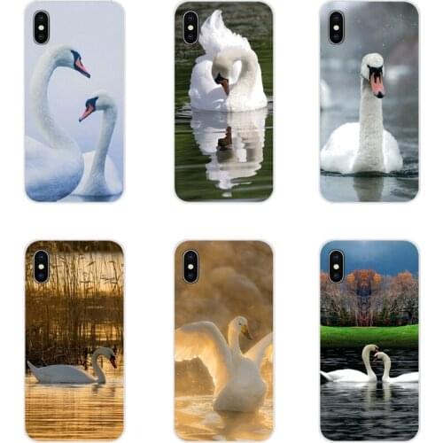 For Samsung A10 A30 A40 A50 A60 A70 Galaxy S2 Note 2 3 Grand Core Prime Accessories Phone Cases Covers Cute Animal Swans Shell