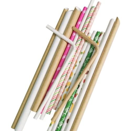 Food Grade Degradable Straw Disposable Paper Straw Protect Environment Environmental Protection Straws Future Trend E11652
