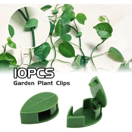 Indoor Finishing Clips For Vines and Green Plants Green Radish Fixation Nail-free Climbing Wall Decal Wall Plant Stabler