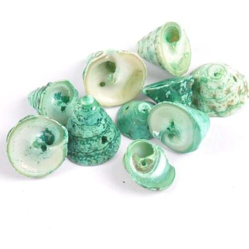10pcs green Natural Spiral Conch Shells Loose Beads for Craft Making Handmade 16-22mm TRS0130X