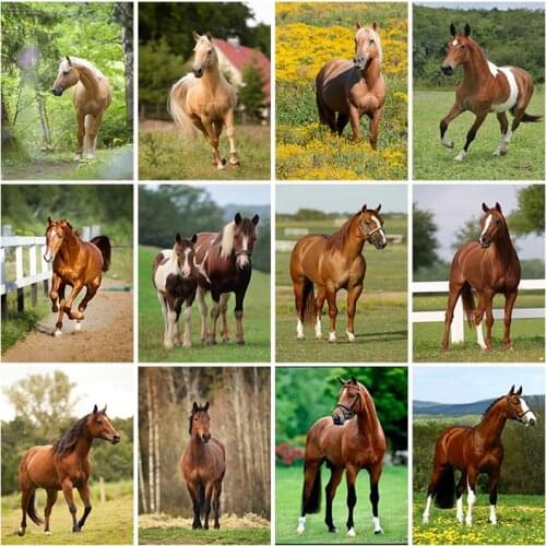 Horse DIY 5D Diamond Painting Full Square Drill Animal Diamond Embroidery Cross Stitch Mosaic Kits Resin Wall Art Home Decor