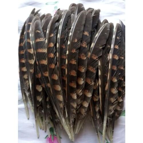 Wholesale Scarce 10pcs Quality natural Pheasant feathers 20-25cm / 8-10inch