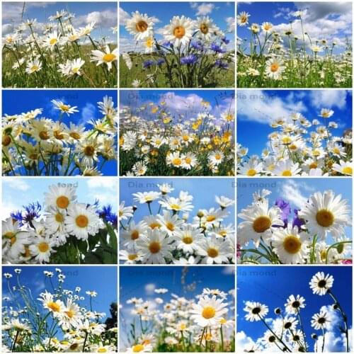Full Square Diamond Embroidery Daisy Handmade Rhinestones Daisy Flower Diamond Painting Cross Stitch Kits Home Decoration Gift