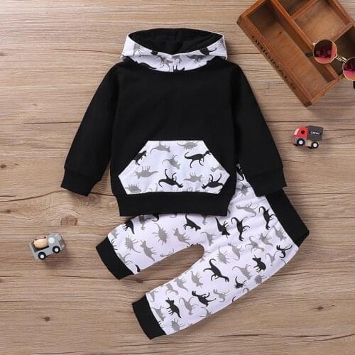 New Toddler Boy Clothes Fashion Clothes 2pcs Set Cartoon Dinosaur Print Patchwork Long Sleeve Hoodies Sweater Tops+trousers 0-3Y