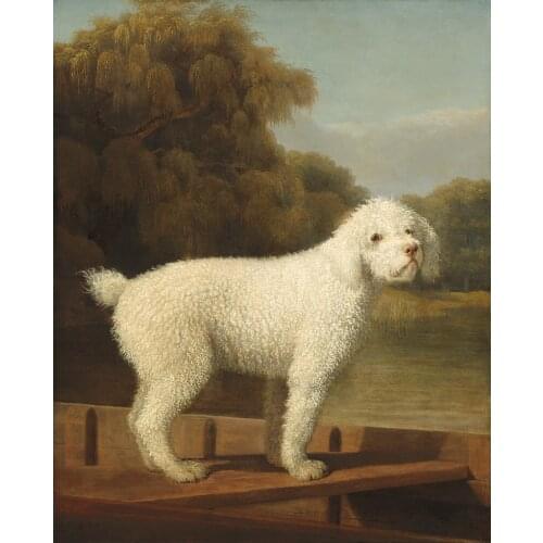 100% hand painted oil painting # HOME living room Decorative art # Animal dog White Poodle in a Punt ART painting on canvas