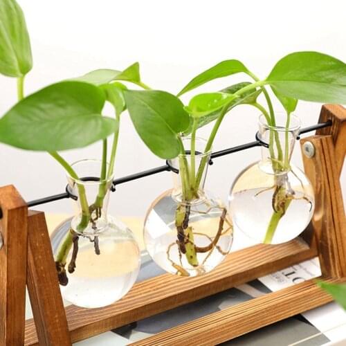 Desktop Glass Planter Bulb Vase Air Plant Terrarium with Wooden Stand for Hydroponics Plants Cuttings Office Decoration