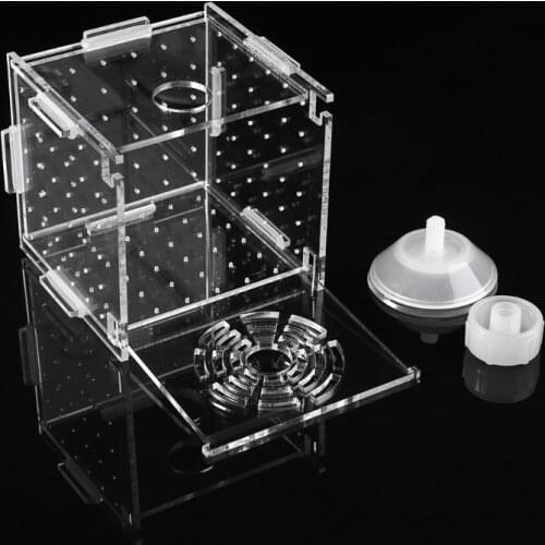 New Aquarium Acrylic Fish Bowls Tank Breeding Isolation Box With Sucker For Baby Fish Hatchery Rooms Incubator Reptile Cage