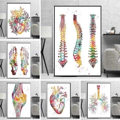 Canvas Painting Human Anatomy Muscles System Posters And Prints Body Map Wall Art Pictures Medical Education Decor No Frame