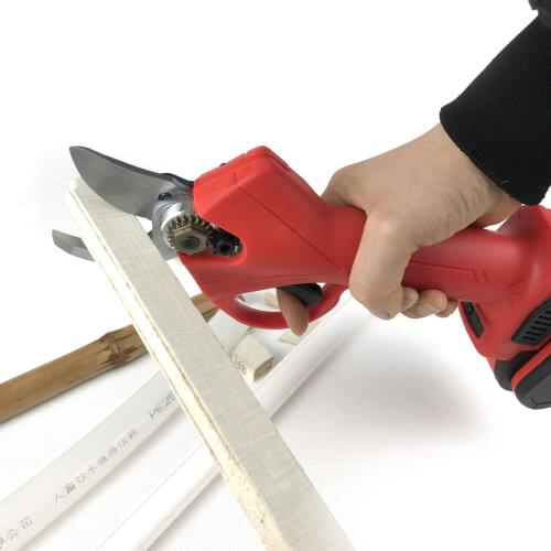 Chkj Trellis Shears