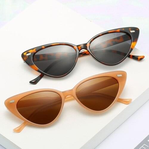 Retro Cat Eye Sunglasses Women Small Frame Triangle Sun Glasses Male Brand Designer Rivet Vintage Oculos De Sol Feminino