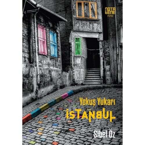 Uphill Istanbul Sibel Self Nota Bene Publications (TURKISH)