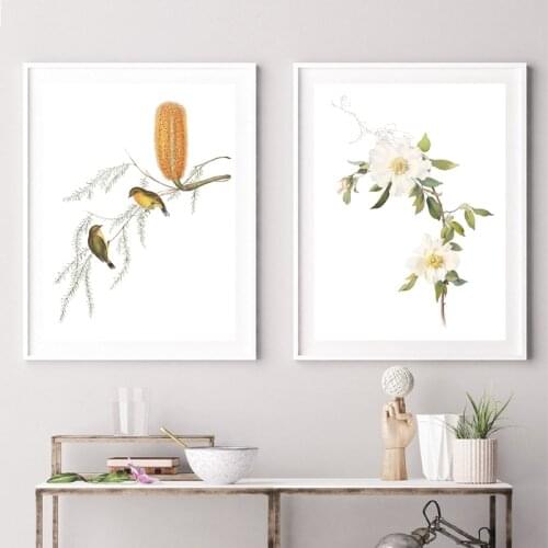 Flower Botanical Poster White Vintage Tradition Flowers Wall Art Pictures Banksia Flower Canvas Painting Crafts Prints Decor