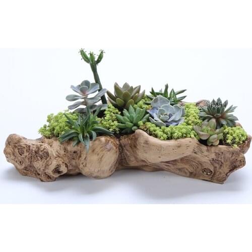 Resin Potted Plants Retro Root Wood Flower Pots Succulent Pot Bonsai Pot Plant Pot Large Vase Decoration Household Flowerpots