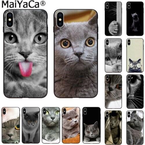 MaiYaCa Cute british shorthair cat Novelty Phone Case Cover for iphone 12 11 pro max 8 7 66S Plus X XS MAX 5S SE XR Cover