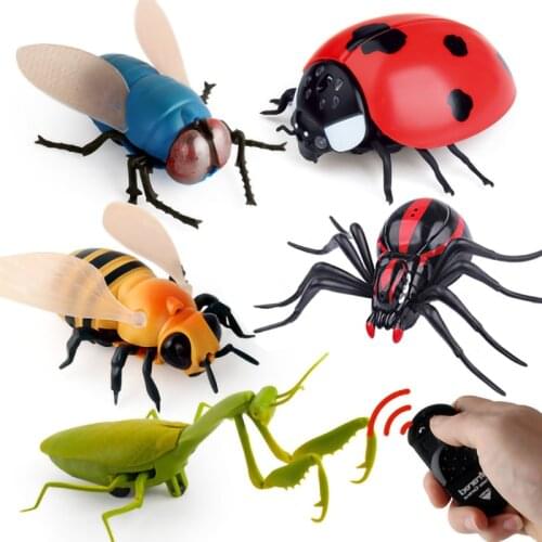 RC animal infrared remote control Simulation insect model toys Electric robot Halloween Prank Insects kids toys spider bee fly
