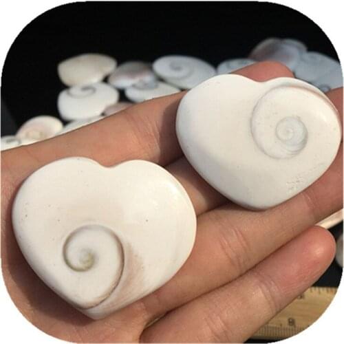 White Shell Heart Natural Stones Minerals Crystals Gems Healing Reiki For Home Decoration