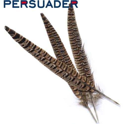 Persuader 5feathers natural march brown color hen pheasant centre tail feather medium size trout fly wings fly tying materials