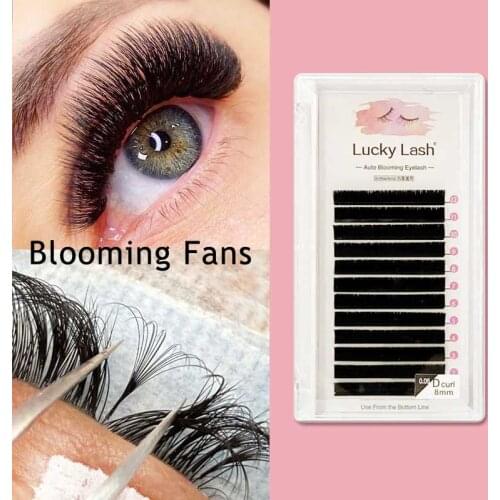 Lucky Lash Easy Fanning Volume Mega Eyelashes Extension Auto Flowering Rapid blooming fans lashes Fast Delivery
