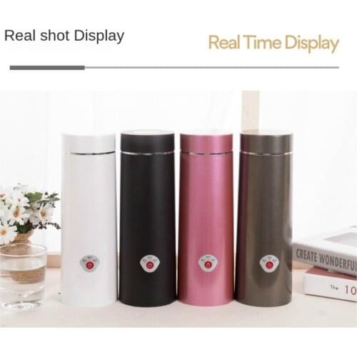 110/220V Kettle Electric Kettle Portable Kettle Dormitory Student Insulation Integrated Kettle Boiling Cup Travel Electric Kettl