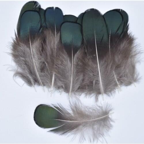 Natural Lady Amherst Bronze Iridescent Plumage Feathers for Crafts 5-8CM Plume Decoration Pheasant Feathers Diy Plumas Carnaval