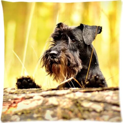 Schnauzer Cushion Cover Home Car Decorative throw pillows Case New Arrival Custom Polyester Almofada Cover