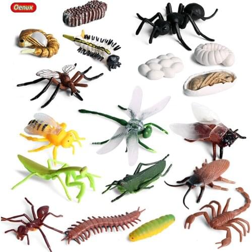 Oenux Classic Insect Animals Simulation Ant Mosquito Growth Cycle Action Figures Dragonfly Scorpion Model Education Kids Toy