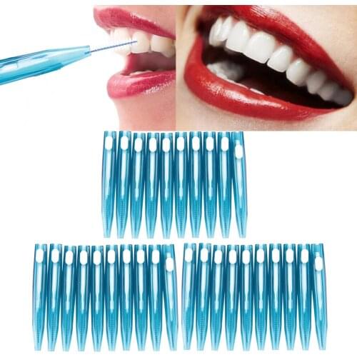 10pcs/20pcs Interdental Tooth Brush Flossing Toothpick Oral Care Toothpick