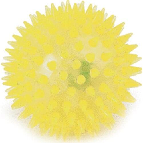 Soft Rubber Luminous Sounded Elastic Bite Chew Toys Dog Cat wing Ball Puppy Playing Elastic Ball Pet Supplies