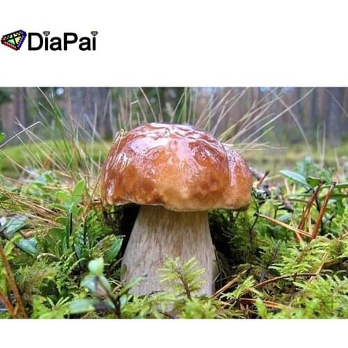 DIAPAI 100% Full Square/Round Drill 5D DIY Diamond Painting "Mushroom landscape" Diamond Embroidery Cross Stitch 3D Decor A18969