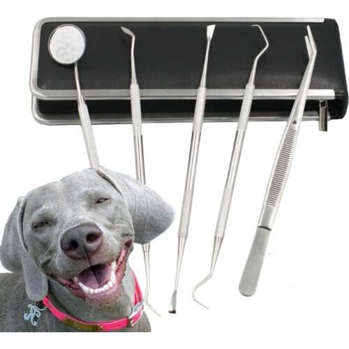 5 Types Dog Pet Toothbrush Double Head Tooth Cleaning Tool Stainless Steel Brush Bad Breath Tartar Teeth Care for Pet Product