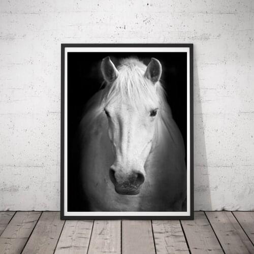 New Arrivals Animals Canvas Painitng Print Black and White Horse Wall Pictures for Living Room Art Decoration Pictures Unframed