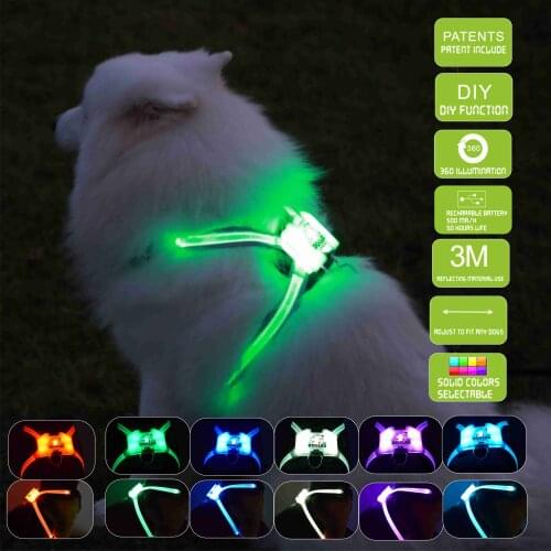 Dog Collar USB Rechargeable Light-emitting Pet Collar TPU Can Cut dog Safety Light Suitable For Small And Medium Dogs